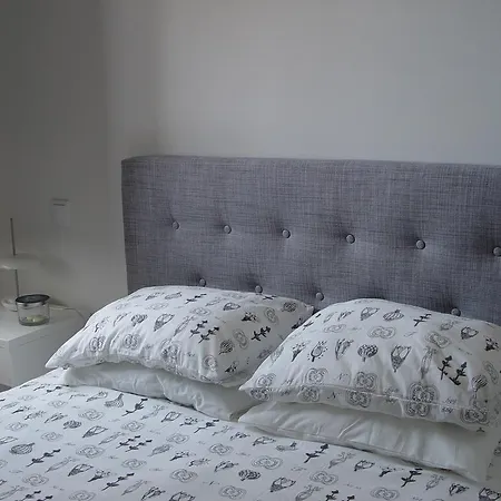 Egas Moniz Apartment